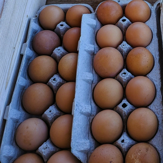 Eggs - Large (brown)