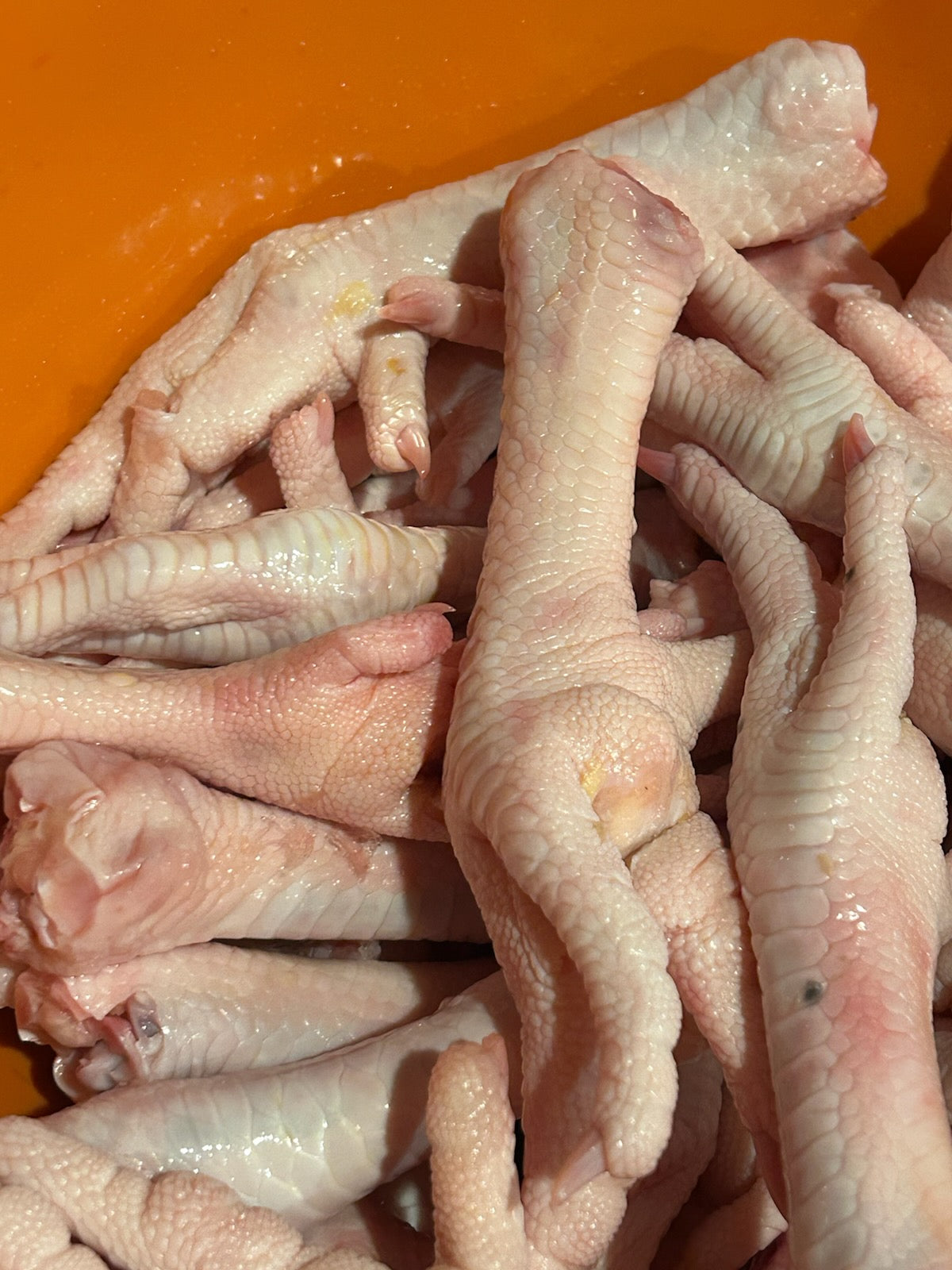 Chicken Feet